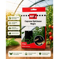 Capcane lipicioase negre MAT - set 10 placi, Tuta absoluta, 