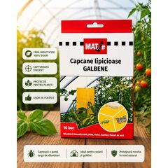 Capcane lipicioase galbene MAT - set 10 placi, Musculita alba, Afide, Purici, Acarieni, Fluturi de sera, 