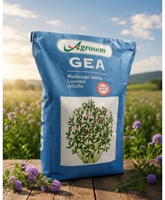 Seminte Lucerna GEA, 10 KG, Certificata, 