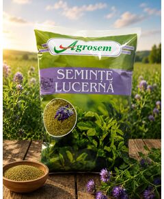 Seminte Lucerna GEA, 1 KG, Certificata, 