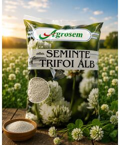 Seminte TRIFOI ALB 1 KG., 