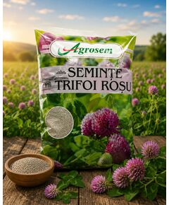 Seminte TRIFOI ROŞU 1 KG., 