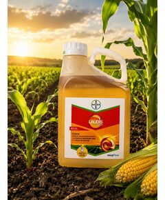 Erbicid LAUDIS 66 OD - 5 Litri, Bayer, Porumb, Postemergent, 