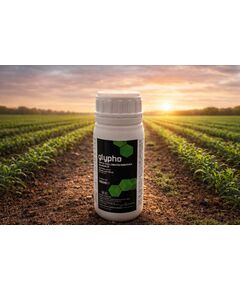 Erbicid total sistemic GLYFO 100 ml, 