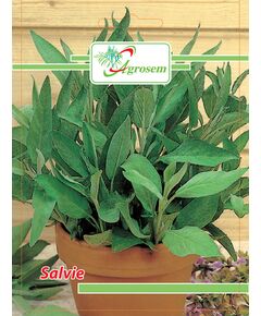 Seminte Salvie 1 gr., 