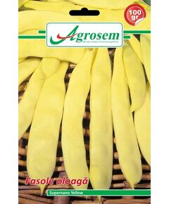Seminte fasole oloaga SUPERNANO YELLOW, Agrosem 100 gr, 