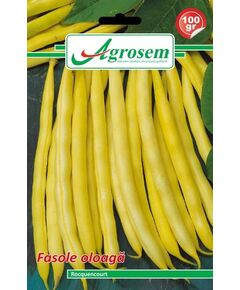 Seminte fasole oloaga ROQUENCOURT Agrosem 100 gr, 
