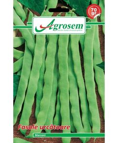 Seminte fasole urcatoare MARCONI Agrosem 70 gr, 