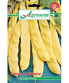 Seminte fasole urcatoare MERAVIGLIA DI VENEZIA Agrosem 70 gr, 