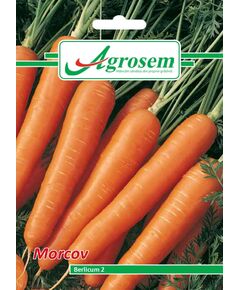 Seminte Morcov BERLICUM, 