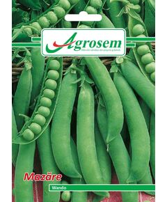 Seminte Mazare WANDO  20GR, 