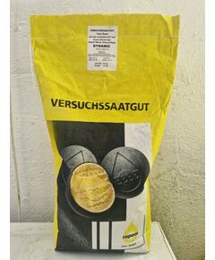 Seminte Rapita DYNAMIC - Saaten Union, 