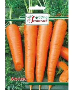 Seminte Morcov FLAKEE , GRADINA FERMECATA, 3 GR, 