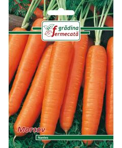 Seminte Morcov NANTES, GRADIONA FERMECATA, 3 GR, 