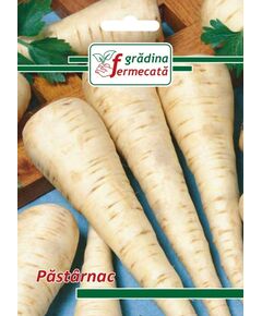 Seminte PASTARNAC, GRADINA FERMECATA, 4 GR, 