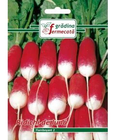 Seminte Ridichi de Luna FLAMBOYANT 2, GRADINA FERMECATA, 3 GR, 