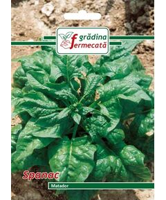 Seminte Spanac MATADOR , GRADINA FERMECATA, 9 GR, 