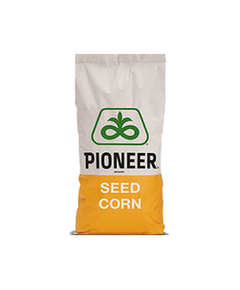 Seminte de porumb Pioneer P9415, FAO 340, AQUAmax, 80MB, 