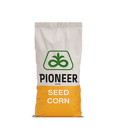 Samanta Porumb PIONEER P9757, FAO 370, LumiGEN, Optimum AQUAmax - Sac 80.000 boabe, 