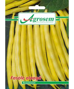 Seminte Fasole Oloaga ROCQUENCOURT  15 GR, 