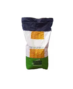 Seminte de porumb Saaten Union DARIUS 25.000 boabe, 