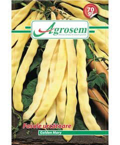 Seminte fasole URCATOARE GOLDENMARY, Agrosem 70 gr, 