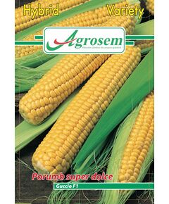 SEMINTE PORUMB SUPER DUILCEGUCCIO F1, 