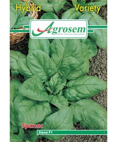 SEMINTE SPANAC SIENA F1, 
