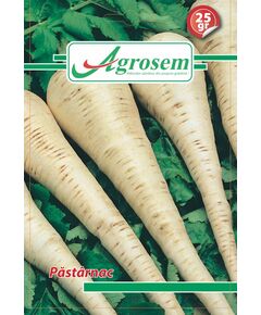 Seminte PASTARNAC - PLIC 25 GR, 