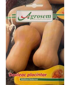 Seminte Dovleac Placintar WALTHAM BUTTERNUT, AGROSEM, 