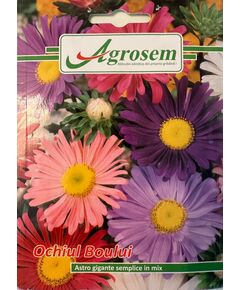 Seminte Flori OCHIUL BOULUI GIGANTE, 