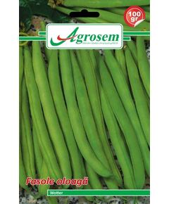 Seminte fasole oloaga WOTTER Agrosem 100 gr, 