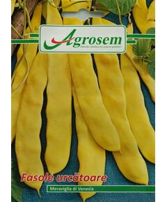 Seminte Fasole Urcatoare MERAVIGLIA DI VENEZIA  10GR, 
