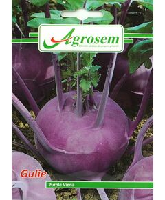 Seminte Gulie PURPLE VIENA  5GR, 