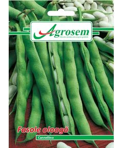 Seminte Fasole Oloaga CANNELINO 15GR, 
