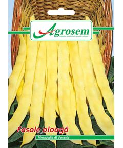 Seminte Fasole Oloaga MERAVIGLIA DI VENEZIA Agrosem 100 gr., 