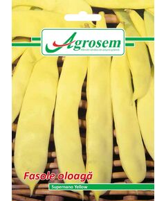 Seminte Fasole Oloaga SUPERNANO YELLOW  15GR, 