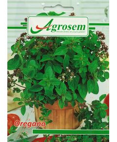 Seminte Oregano 0.25 gr., 