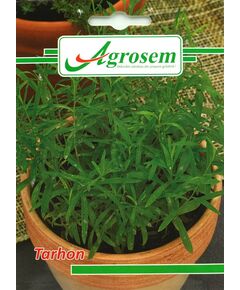 Seminte Tarhon 0.5 gr., 