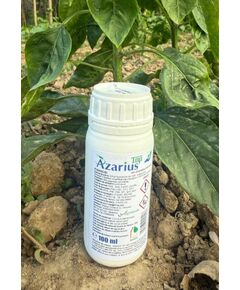 Fungicid sistemic AZARIUS TOP 250 g/L (22,9% g/g) Azoxistrobin - 10ML, 