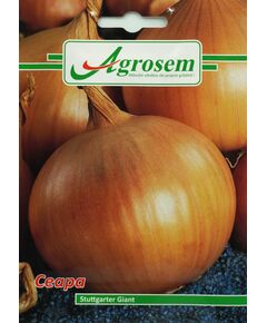 Seminte Ceapa Galbena STUTTGART GIANT  1.5 GR, 