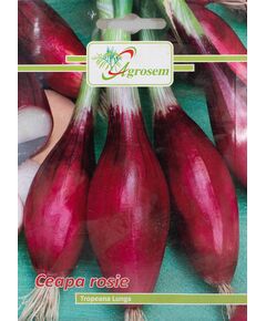 Seminte Ceapa Rosie TROPEANA LUNGA  1.5 GR, 