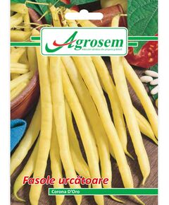 Seminte Fasole Urcatoare CORONA D'ORO 10 gr, 