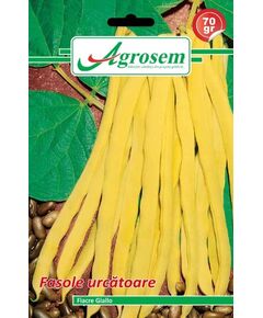 Seminte fasole urcatoare FIACRE GIALLO Agrosem 70 gr, 