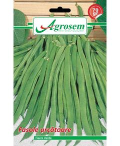 Seminte fasole urcatoare FIACRE VERDE Agrosem 70 gr., 