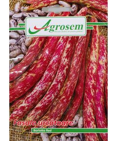 Seminte Fasole Urcatoare BORLOTTO RED 10 GR, 