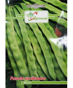 Seminte Fasole Urcatoare MARCONI 10 GR, 