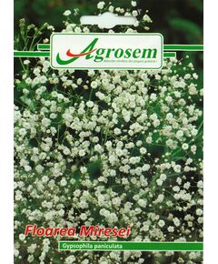 Seminte Flori FLOAREA MIRESEI 1,5 gr, 