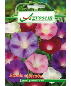 Seminte Flori Zorele Colorate 1 gr, 