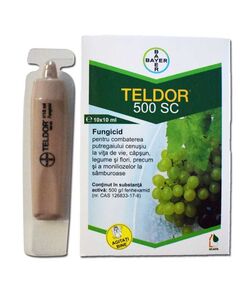 Fungicid TELDOR 500 SC - 10 ml, Bayer, Sistemic, Putregai cenusiu, Monilioza, 
